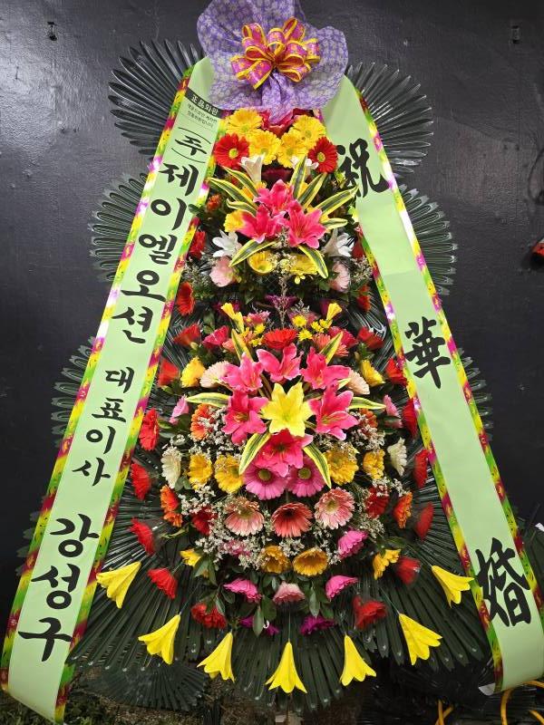 업로드 이미지