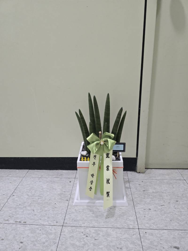 업로드 이미지