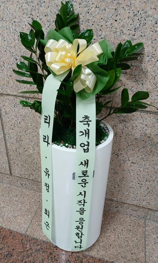 업로드 이미지