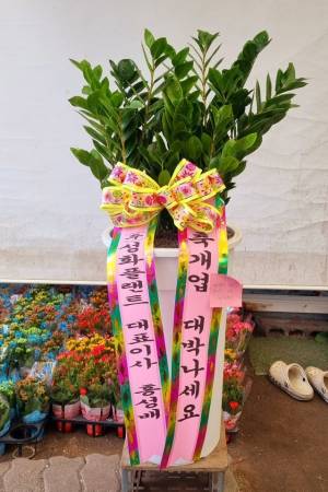 배송사진