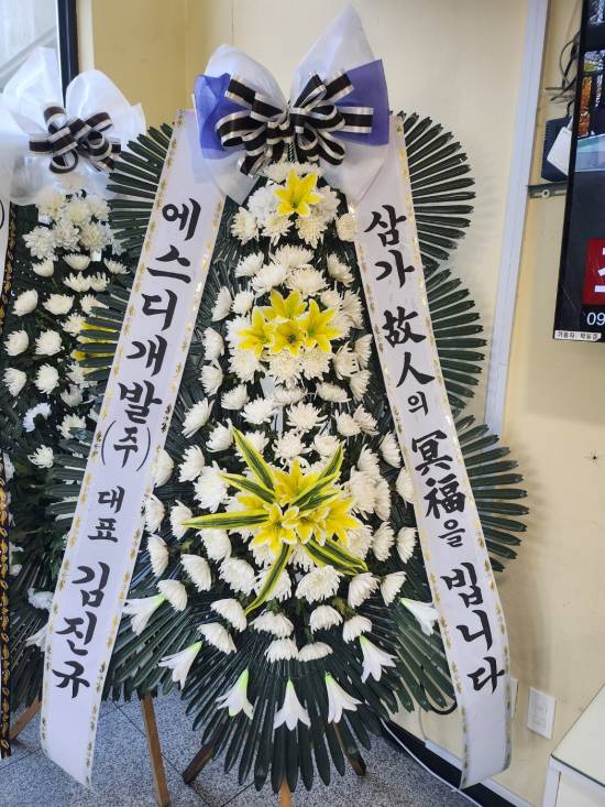 업로드 이미지