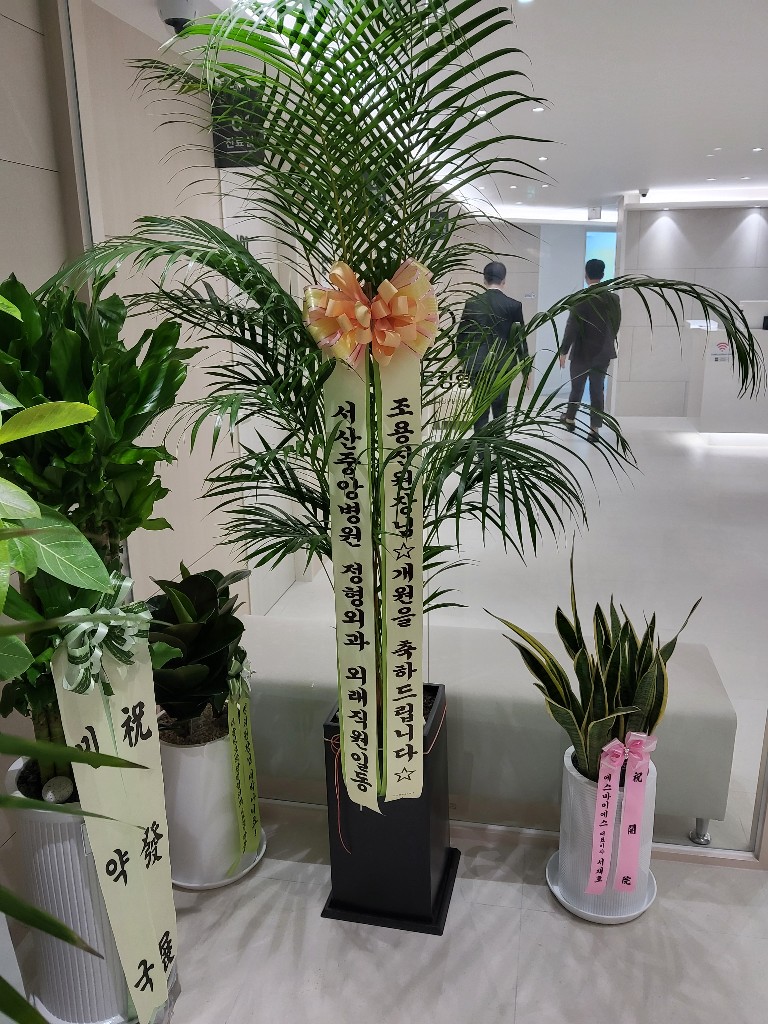 업로드 이미지