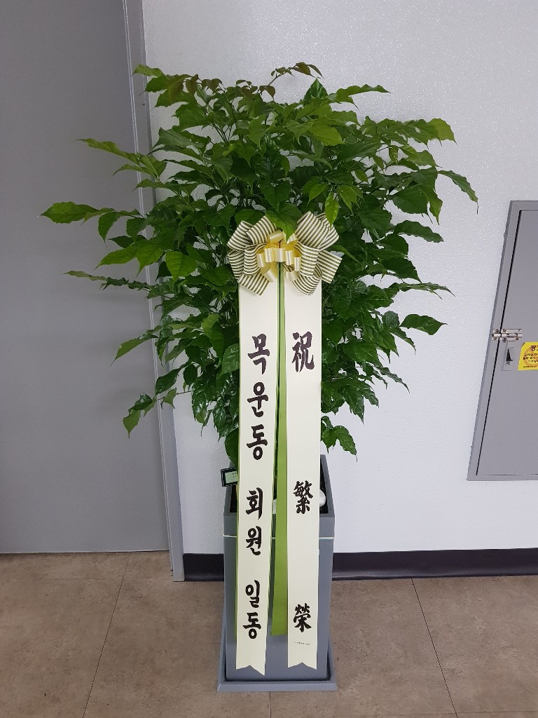 업로드 이미지