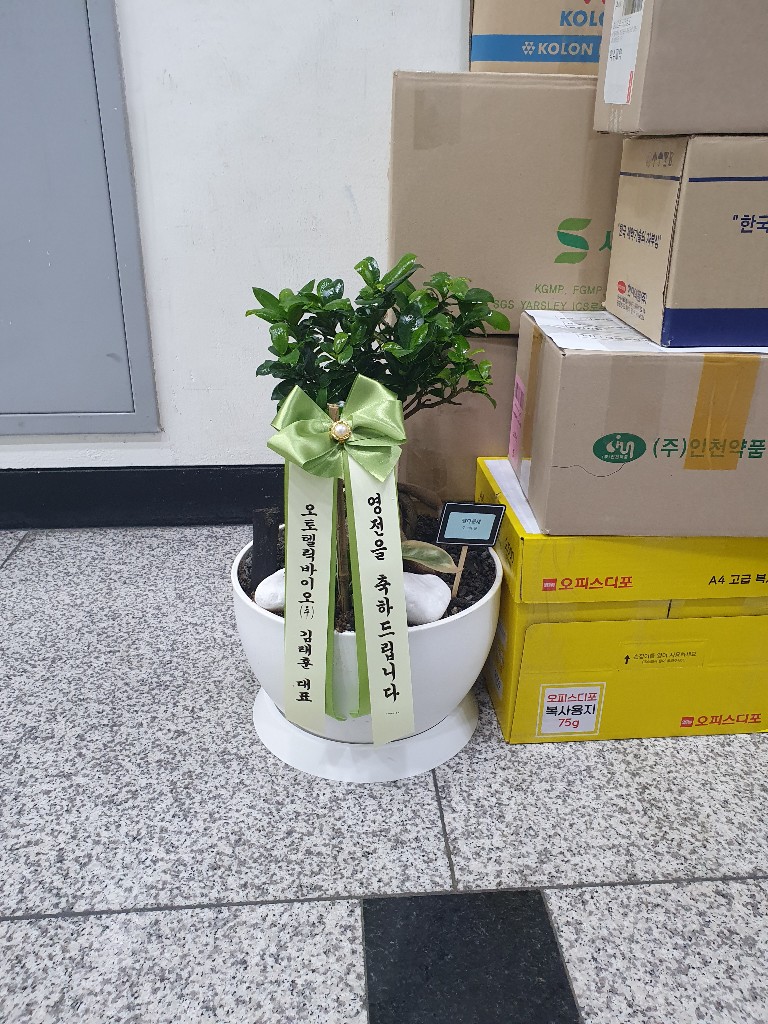 업로드 이미지
