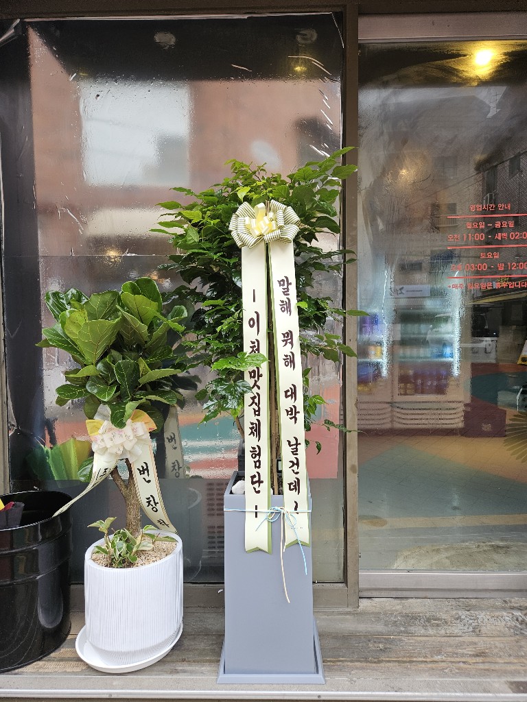 업로드 이미지