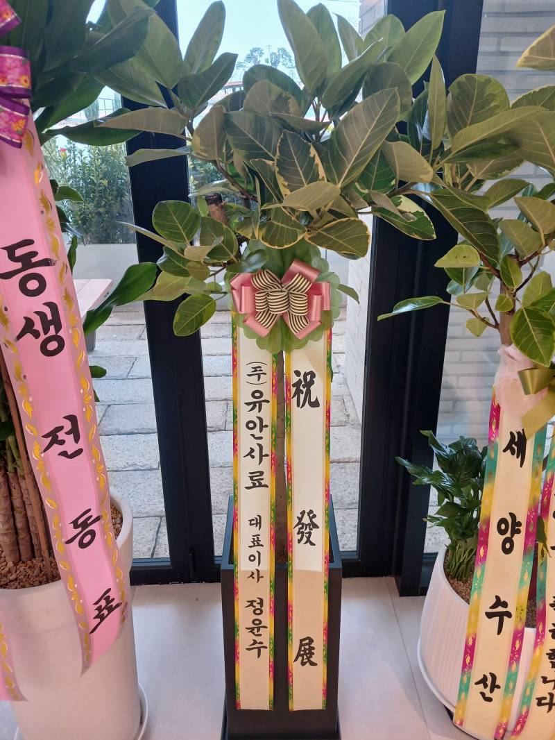 업로드 이미지