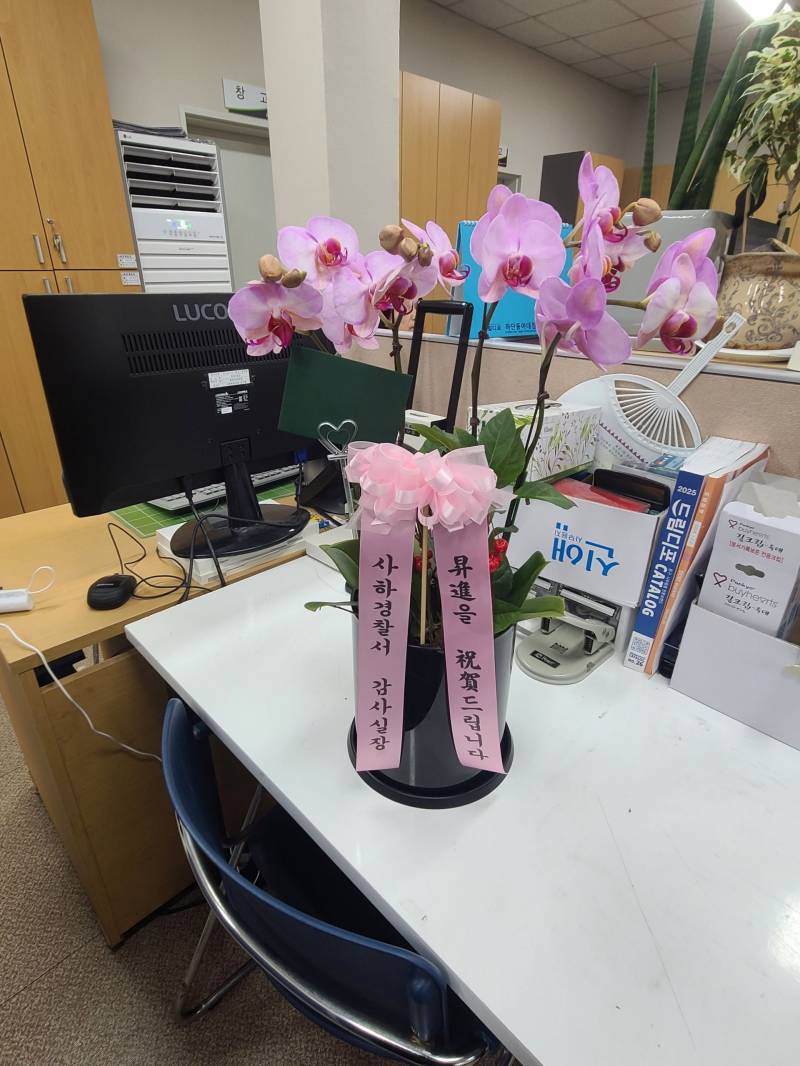 배송사진
