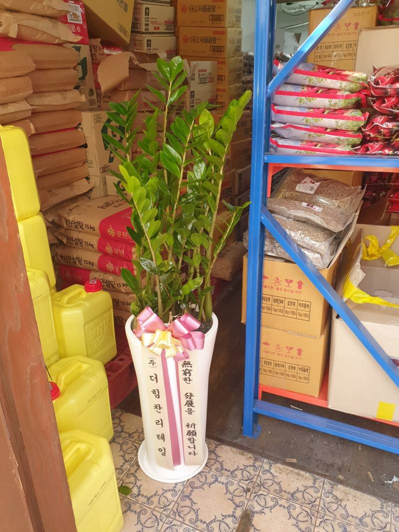 업로드 이미지