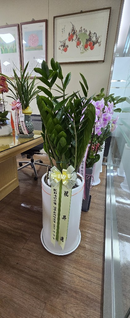 업로드 이미지