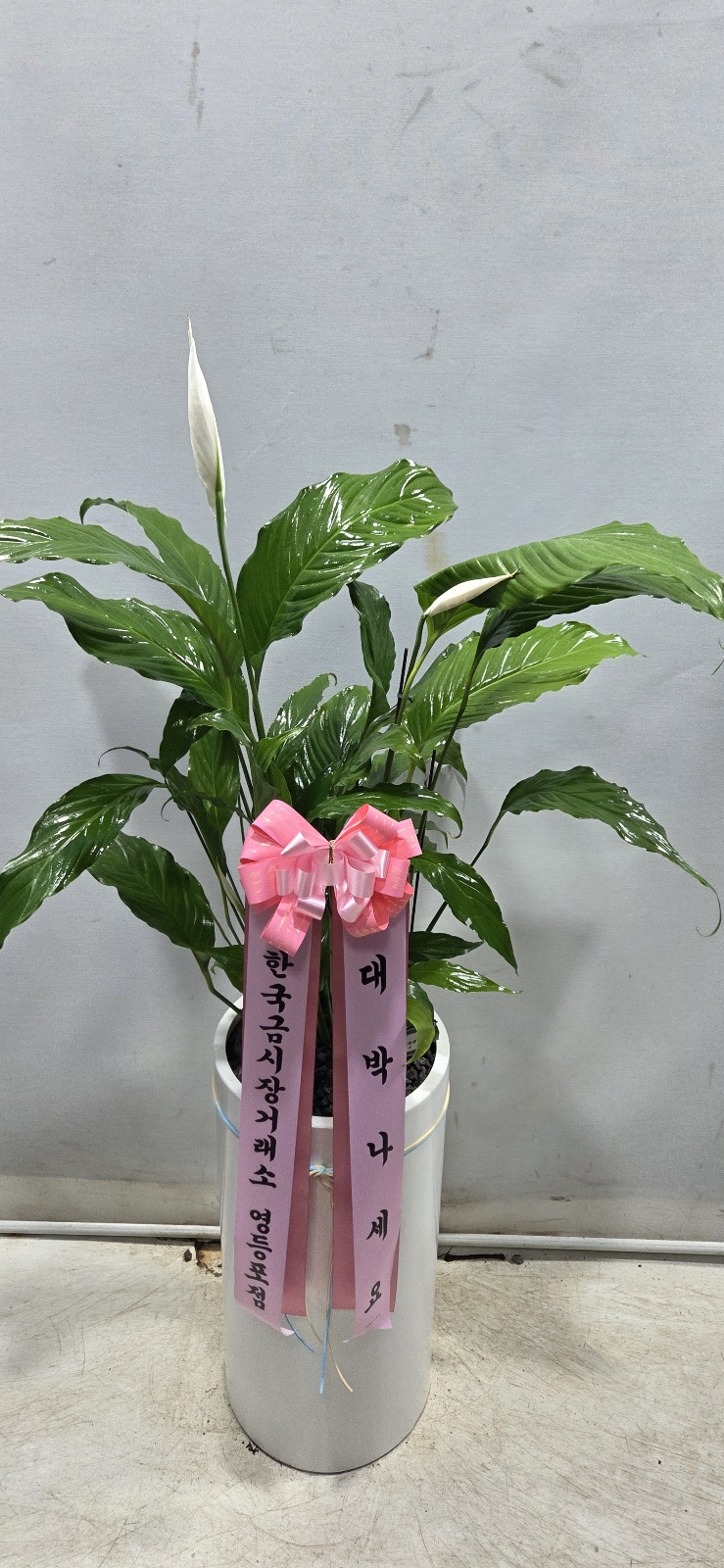 업로드 이미지