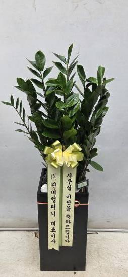 업로드 이미지
