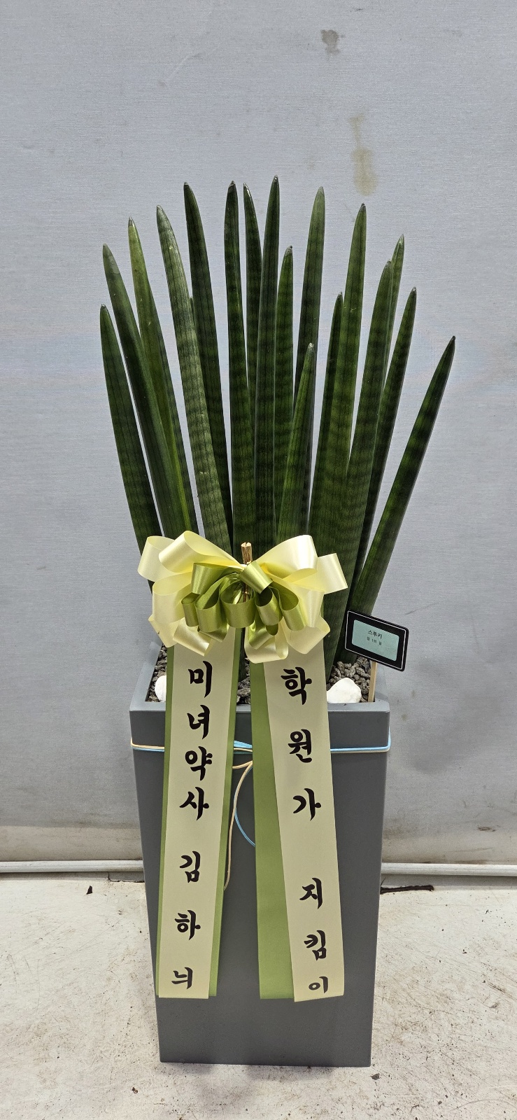 업로드 이미지