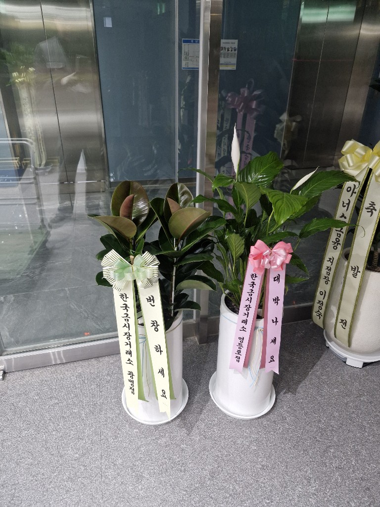업로드 이미지