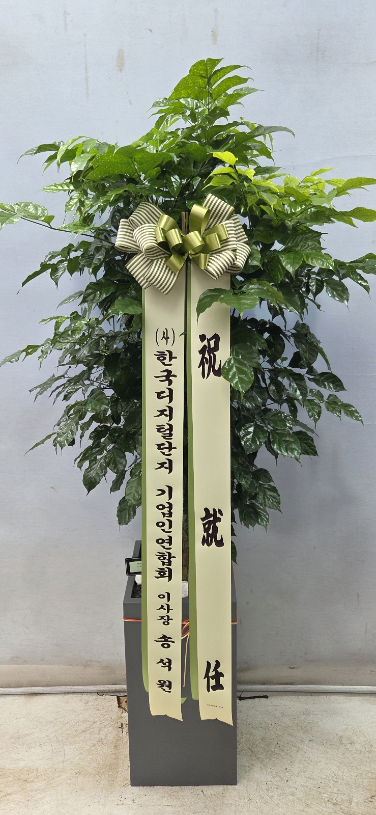 업로드 이미지