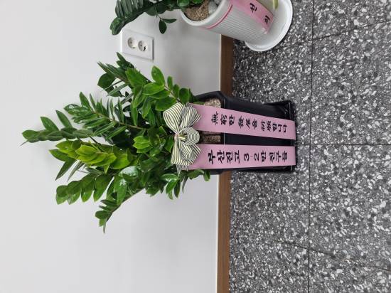 업로드 이미지