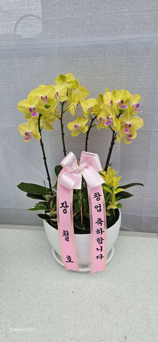 업로드 이미지