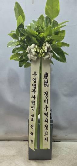 업로드 이미지