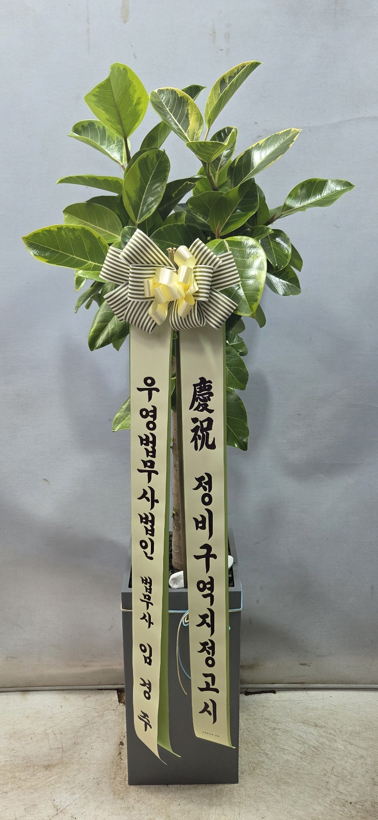 업로드 이미지
