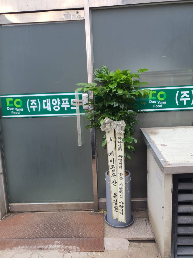 업로드 이미지