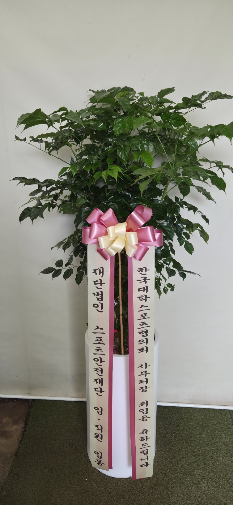업로드 이미지