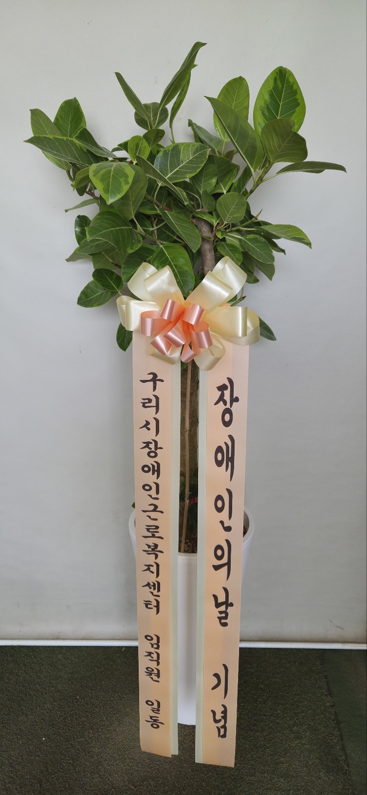 업로드 이미지