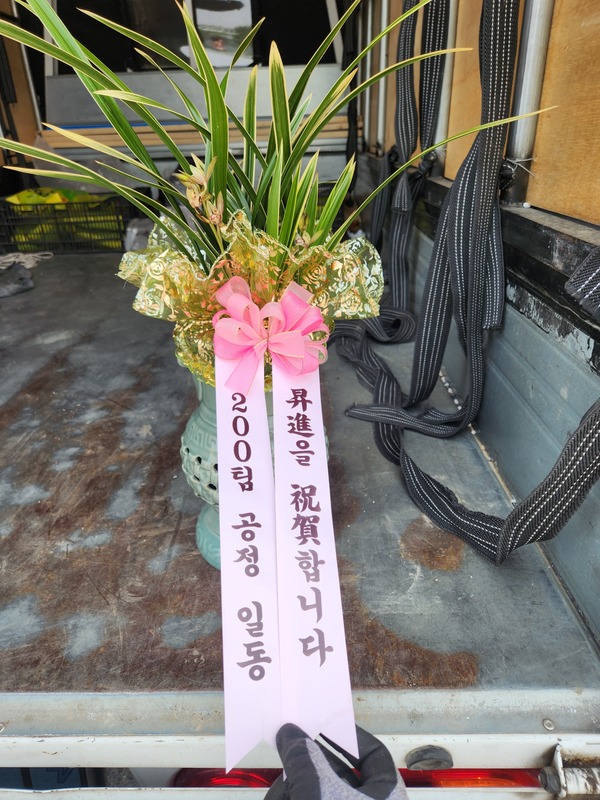 업로드 이미지