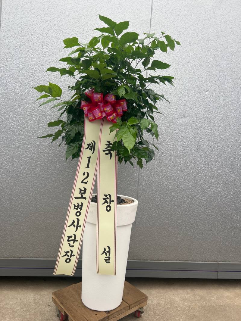 업로드 이미지