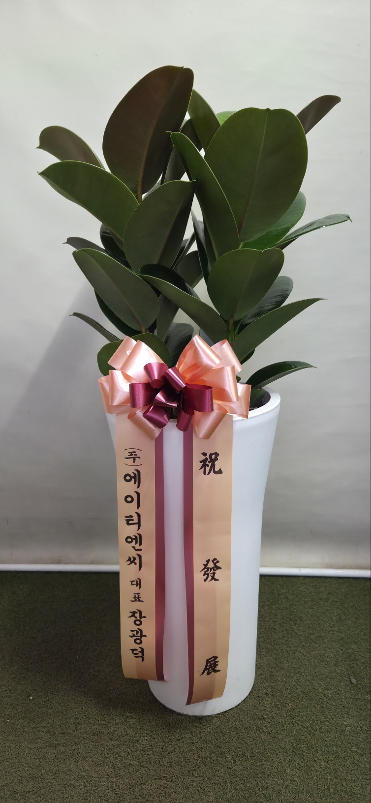 업로드 이미지