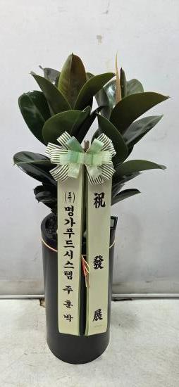 업로드 이미지