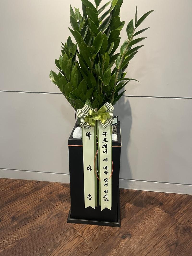 업로드 이미지