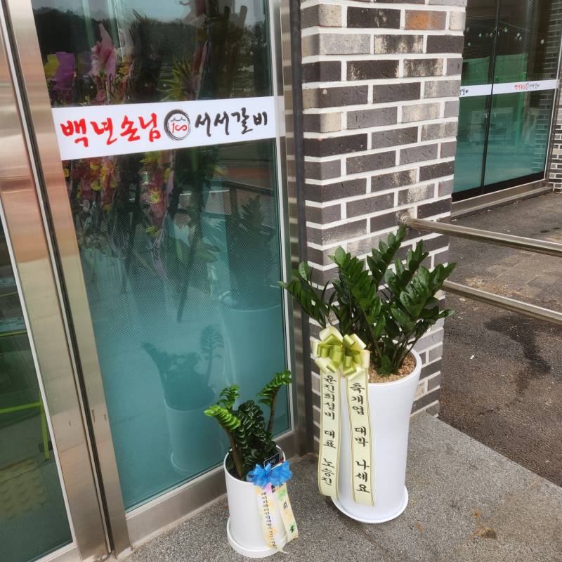업로드 이미지