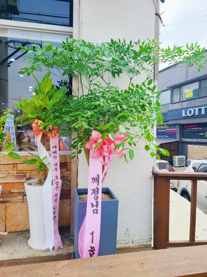 배송사진
