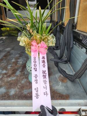 배송사진