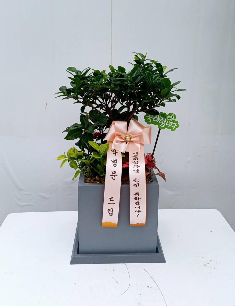 업로드 이미지