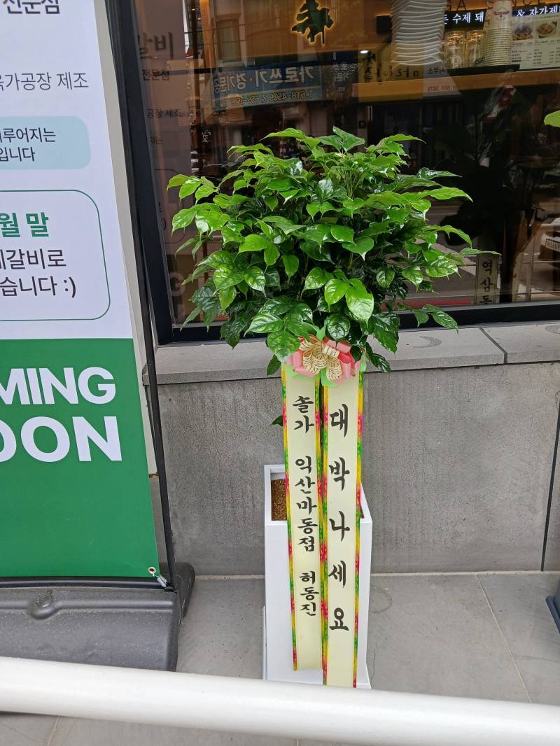 업로드 이미지