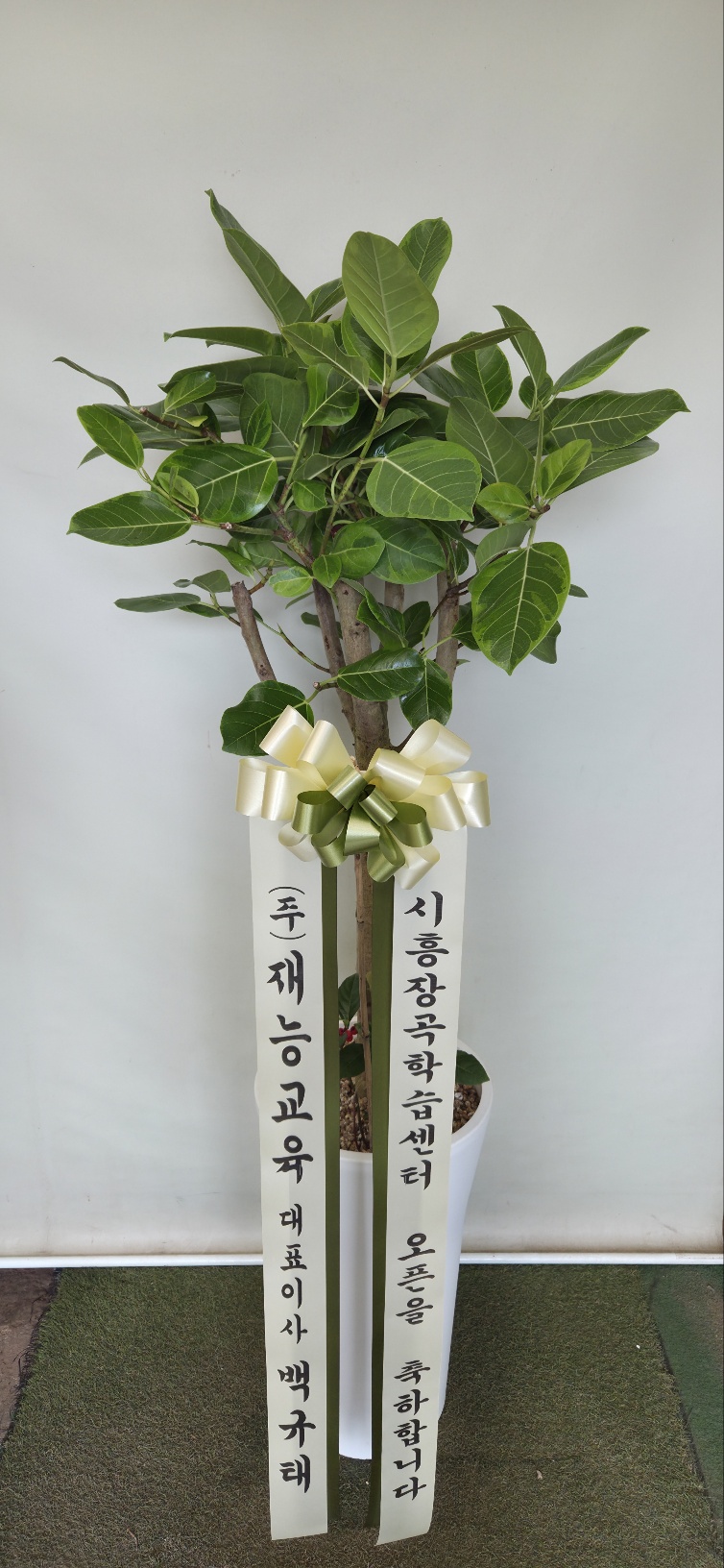 업로드 이미지