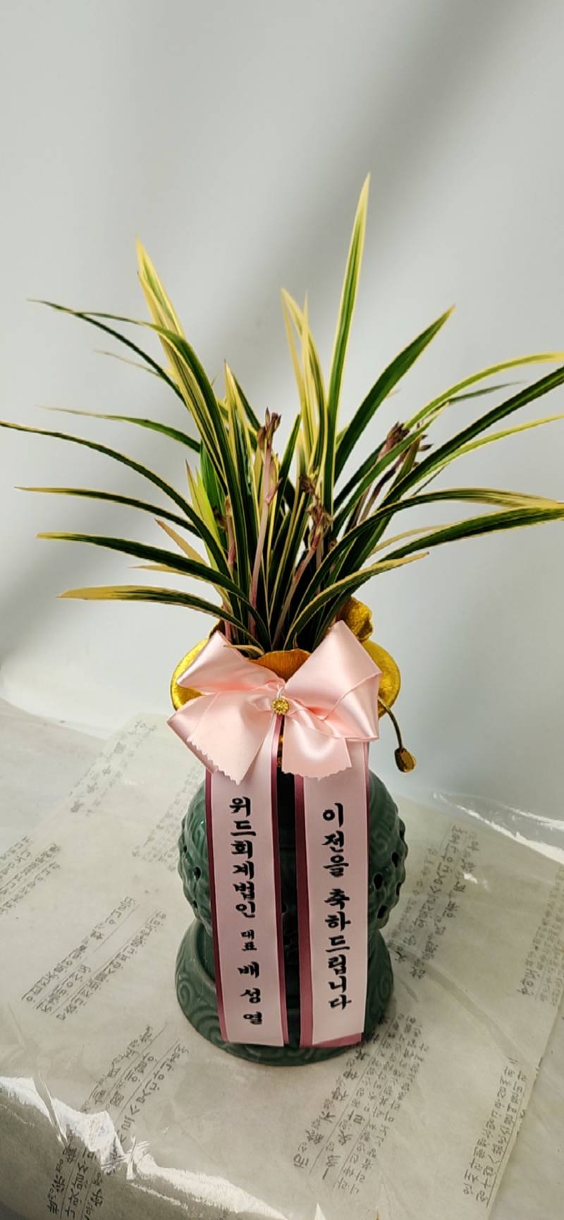 업로드 이미지