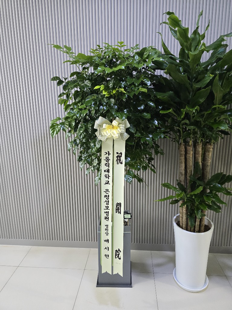업로드 이미지