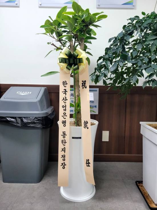 업로드 이미지