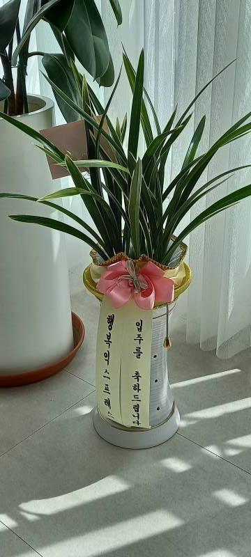 업로드 이미지