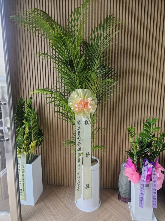 업로드 이미지
