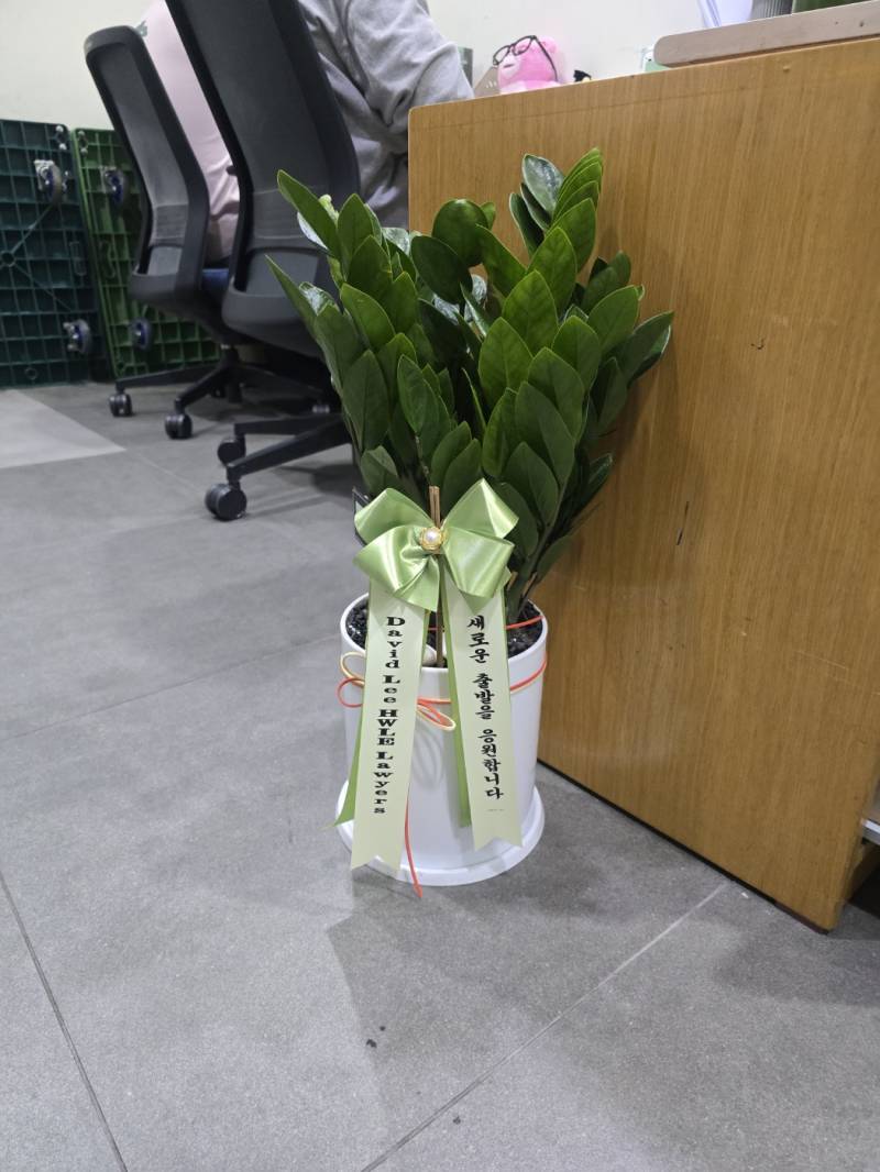 업로드 이미지
