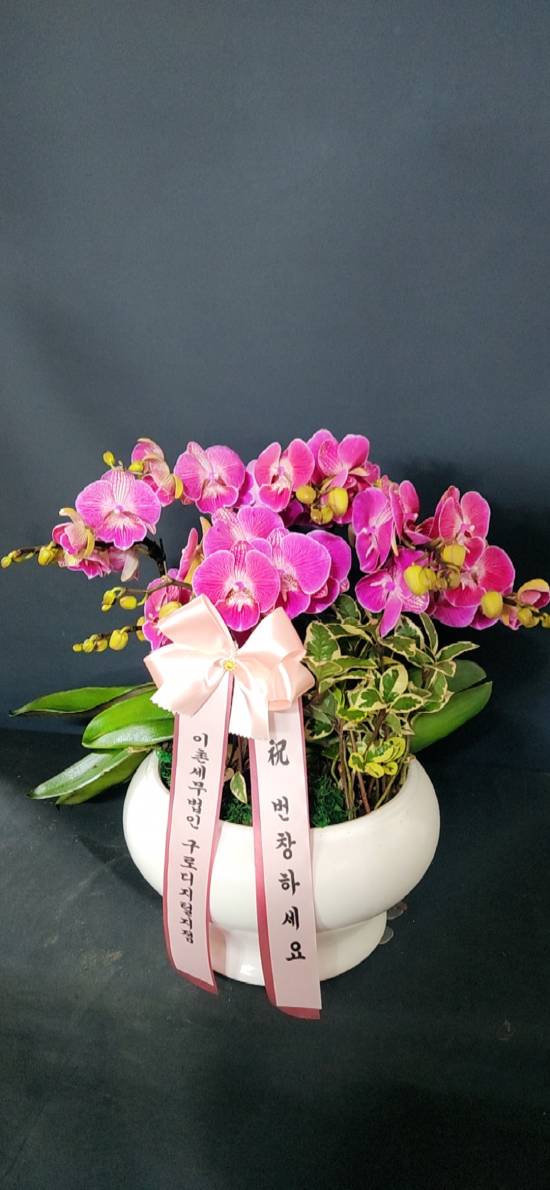 업로드 이미지