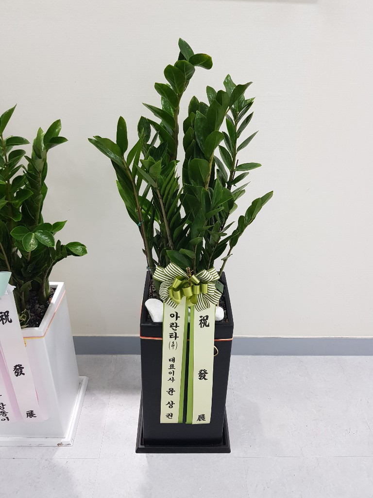 업로드 이미지