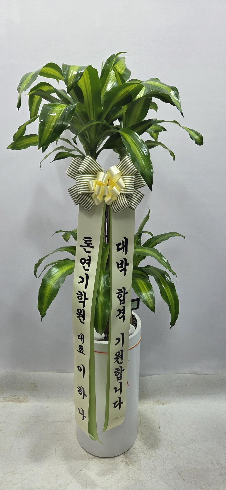 업로드 이미지