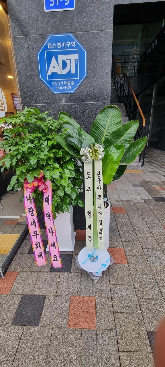 업로드 이미지
