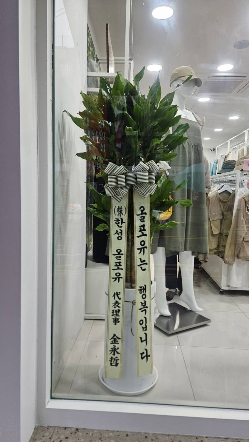 업로드 이미지