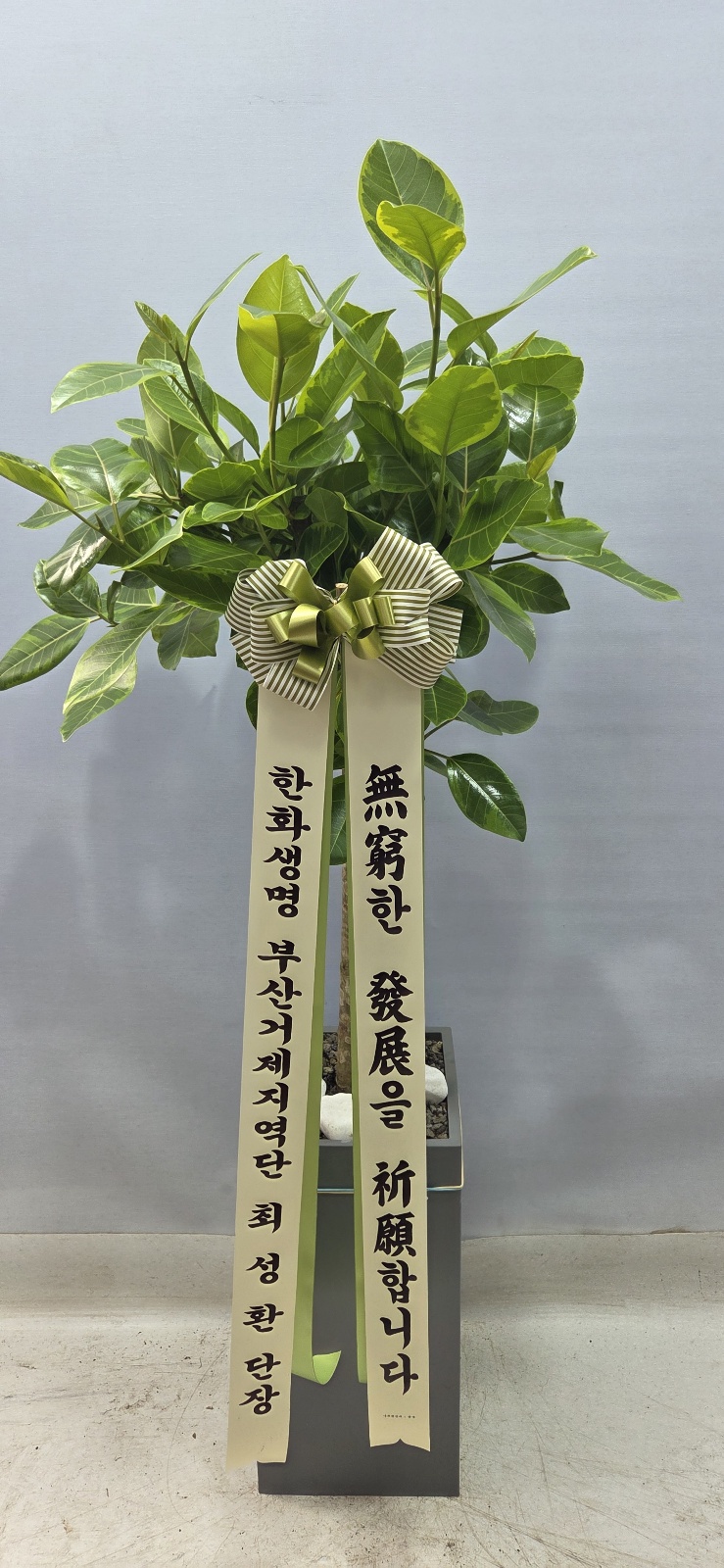 업로드 이미지