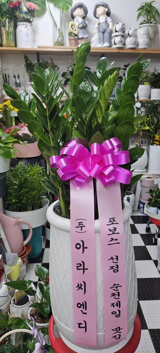 업로드 이미지