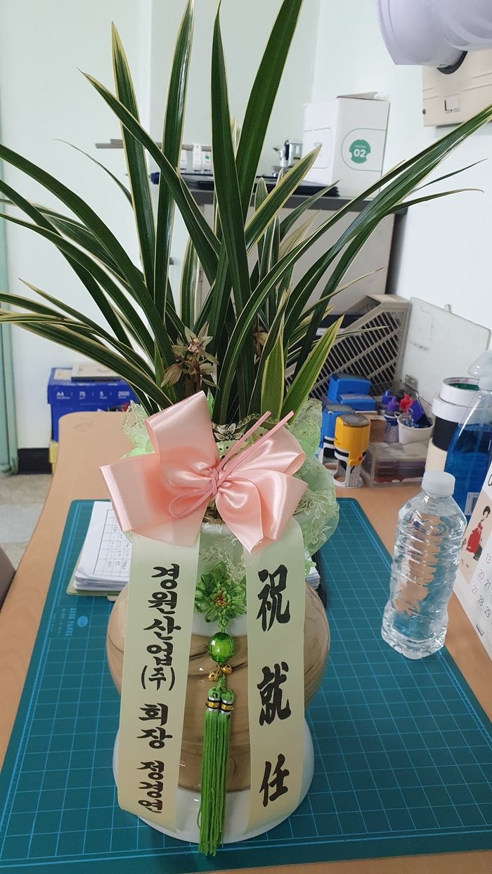 업로드 이미지